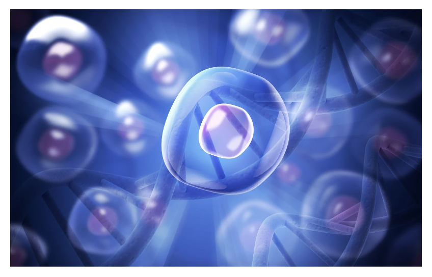 lower blood pressure autophagy